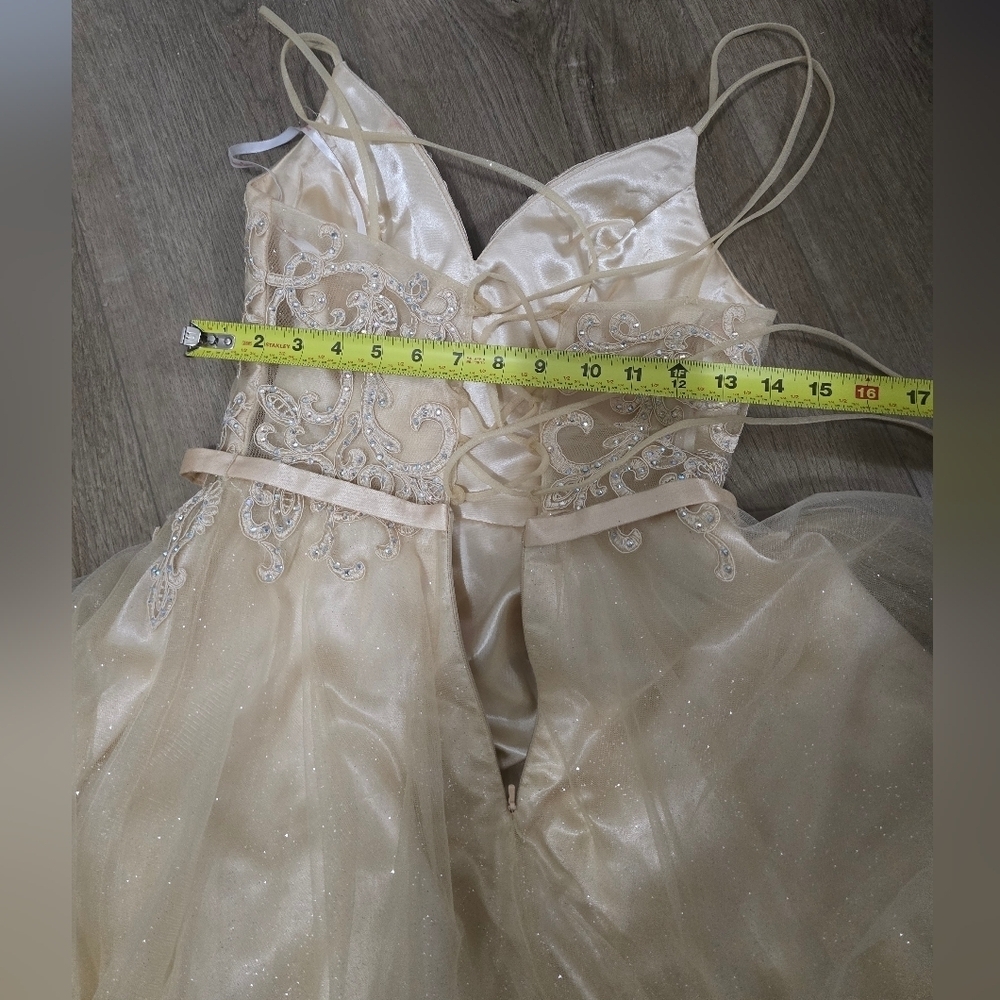 Chic Beige Embellished Gown - Picture 10 of 11